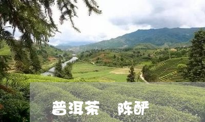 普洱茶 陈酽/2023042750848